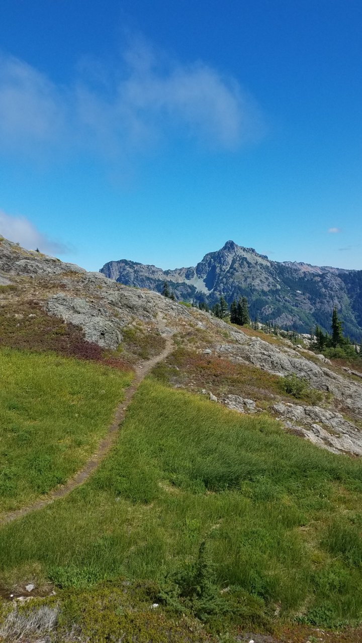 20180901_121331.jpg