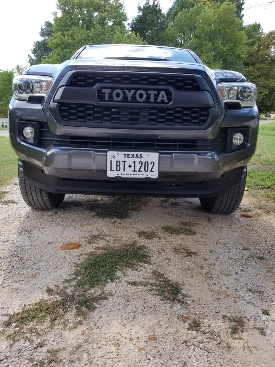 20180901_151008.jpg