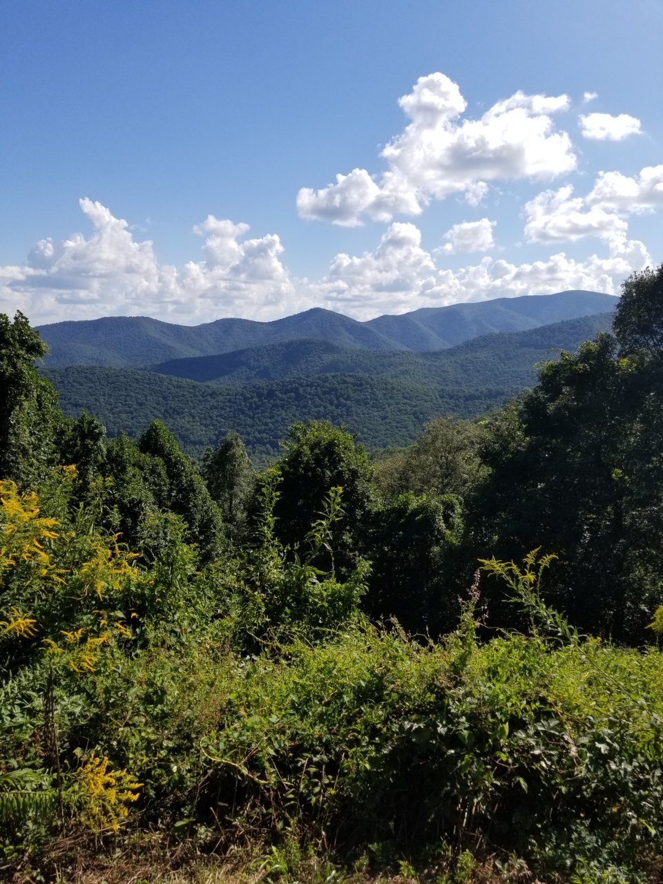 20180901_162842.jpg
