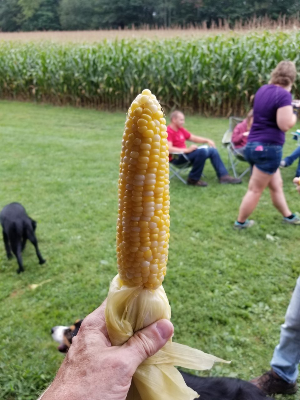 20180901_171543.jpg