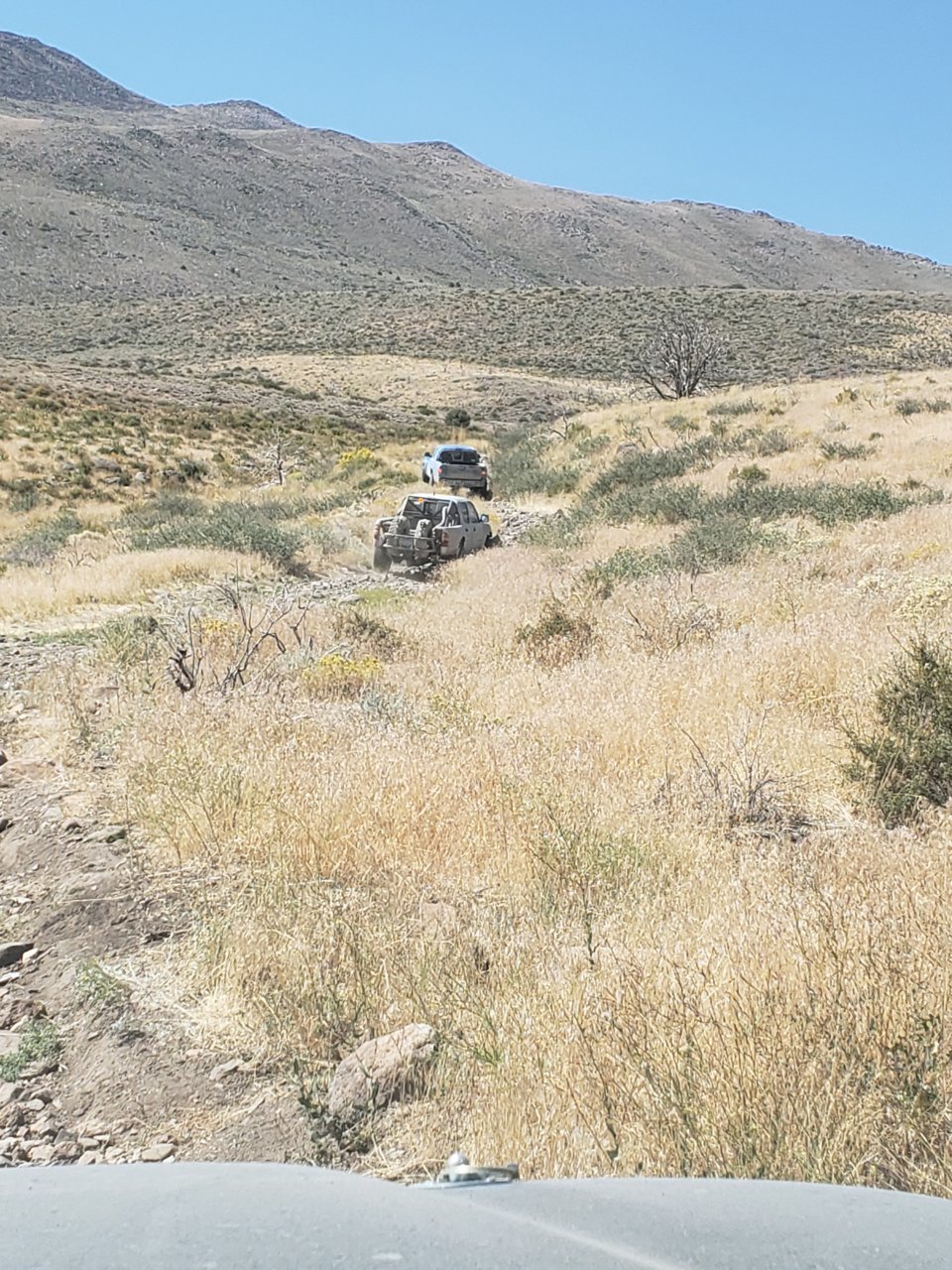 20180902_113837.jpg