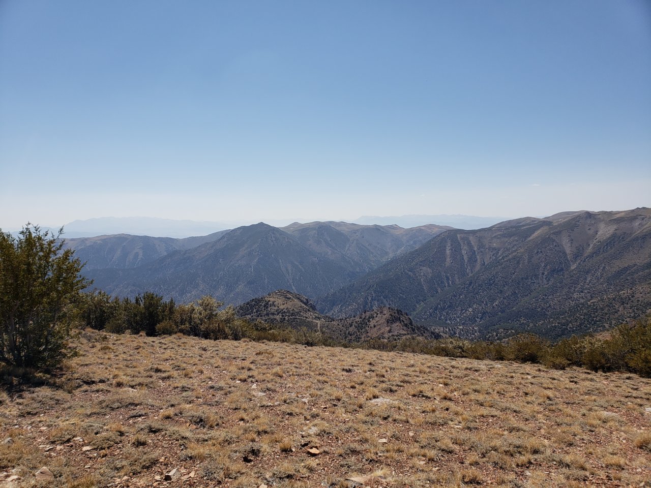 20180902_121415.jpg