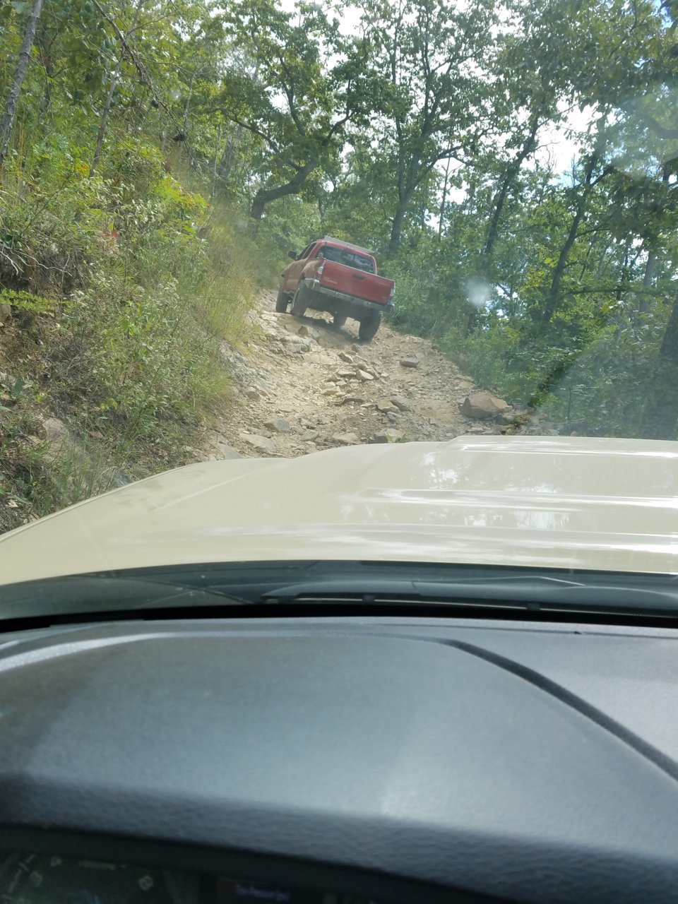 20180902_122231.jpg