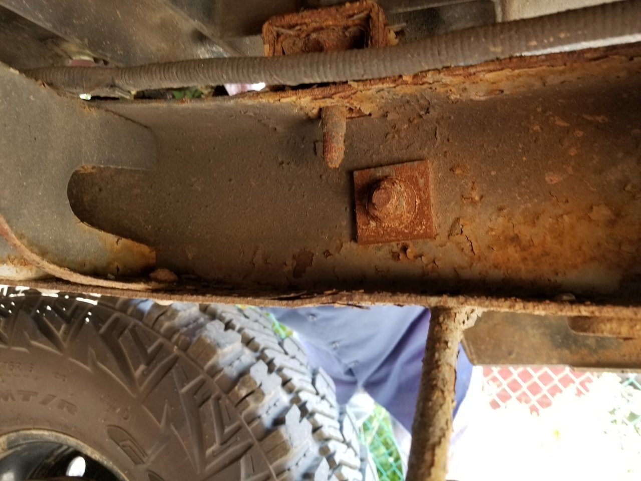 20180902_132412.jpg