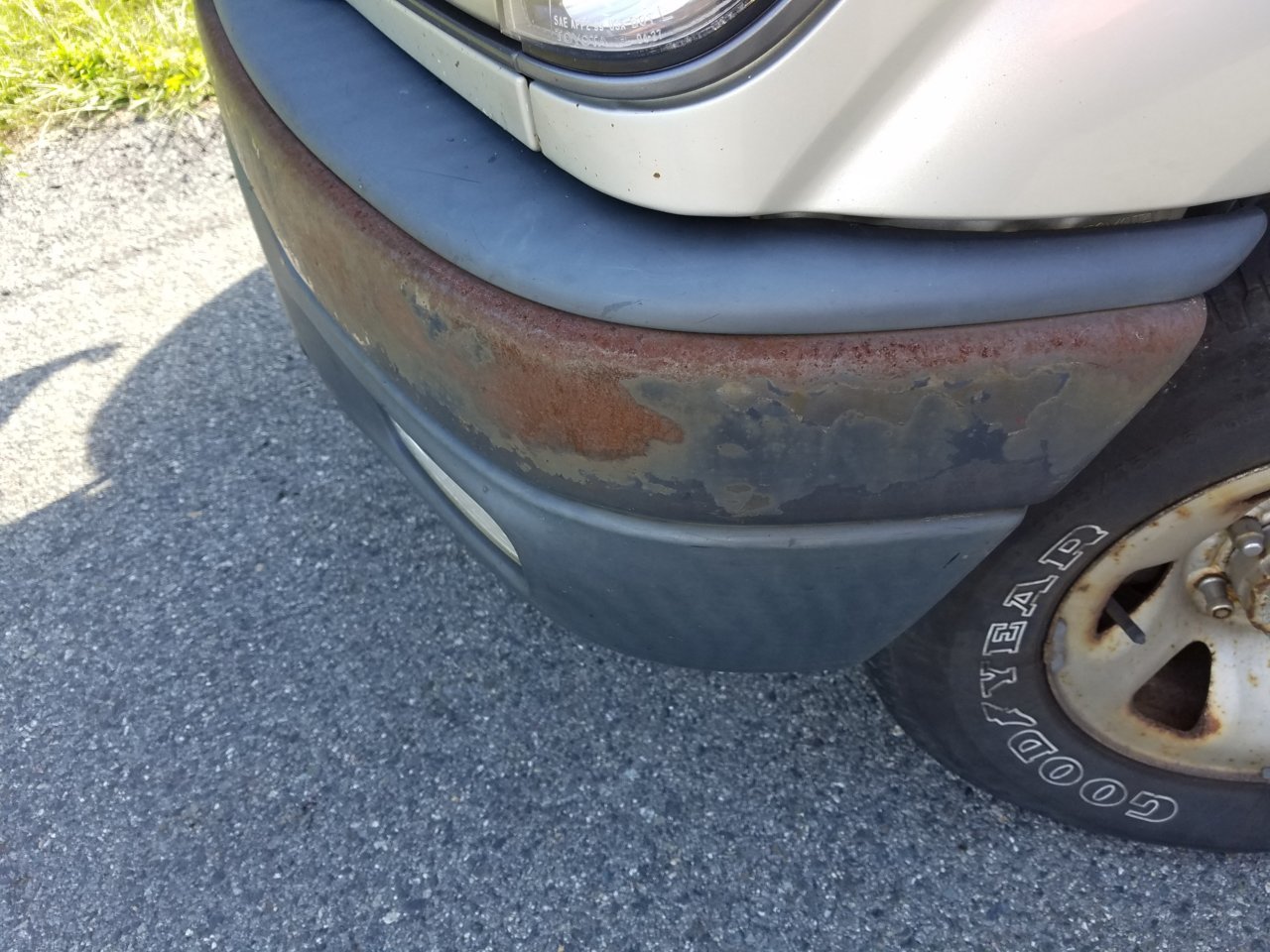20180902_165055.jpg