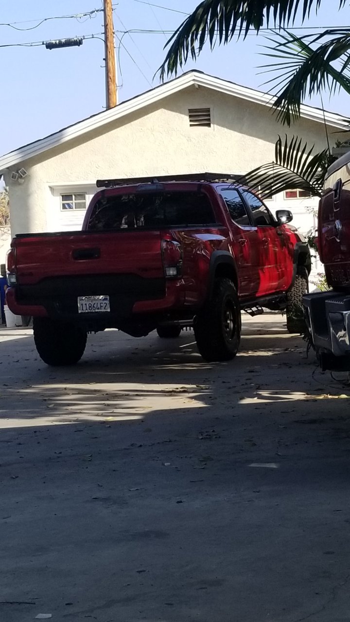 20180902_165927.jpg