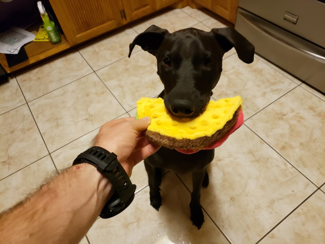 20180903_003719.jpg