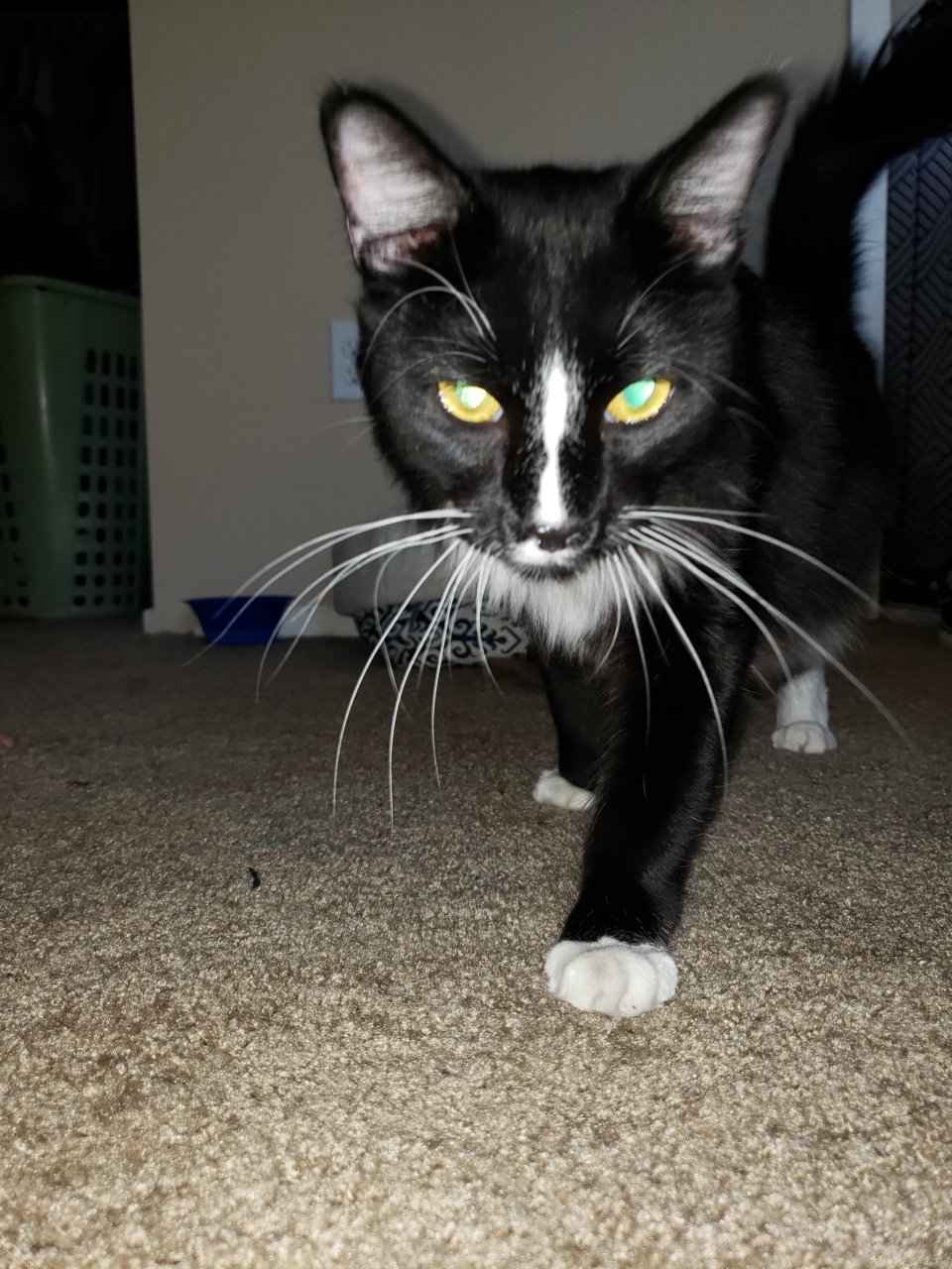 20180903_144051.jpg