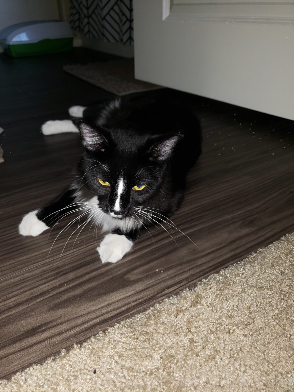 20180903_144814.jpg