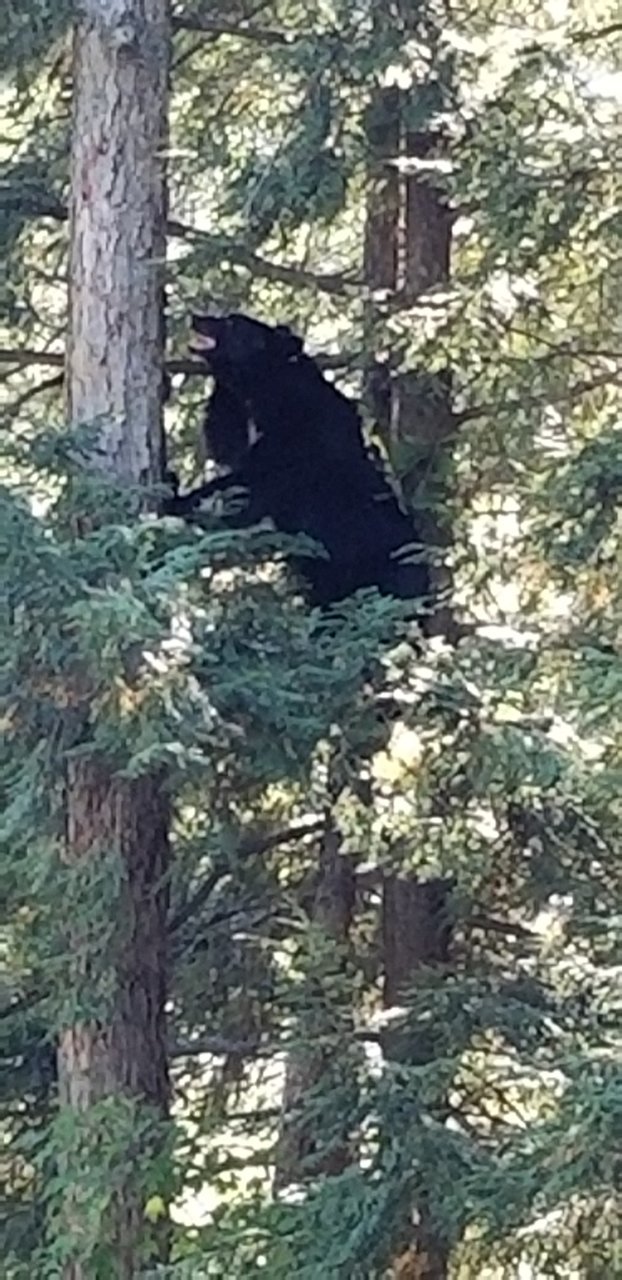 20180903_164422.jpg