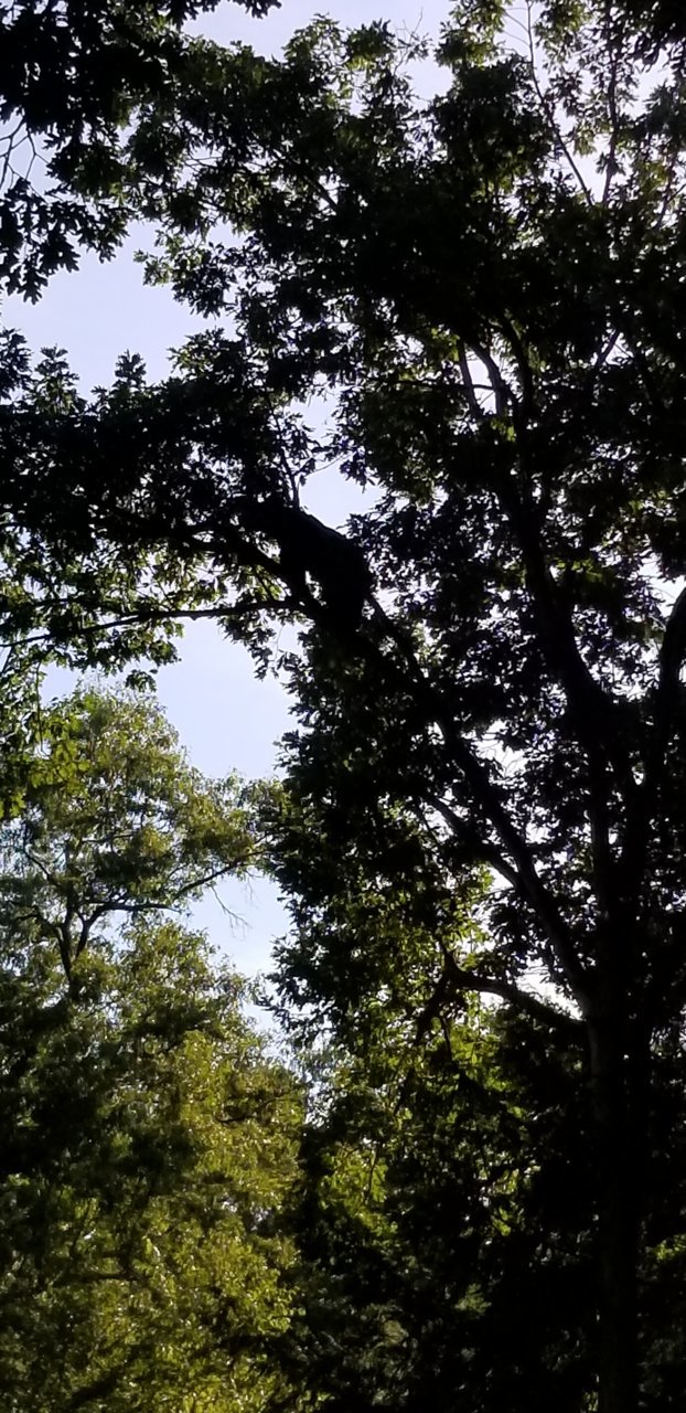 20180903_164636.jpg