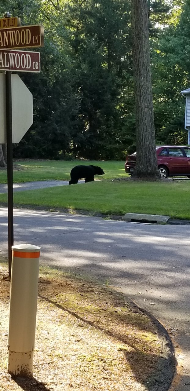 20180903_165953.jpg
