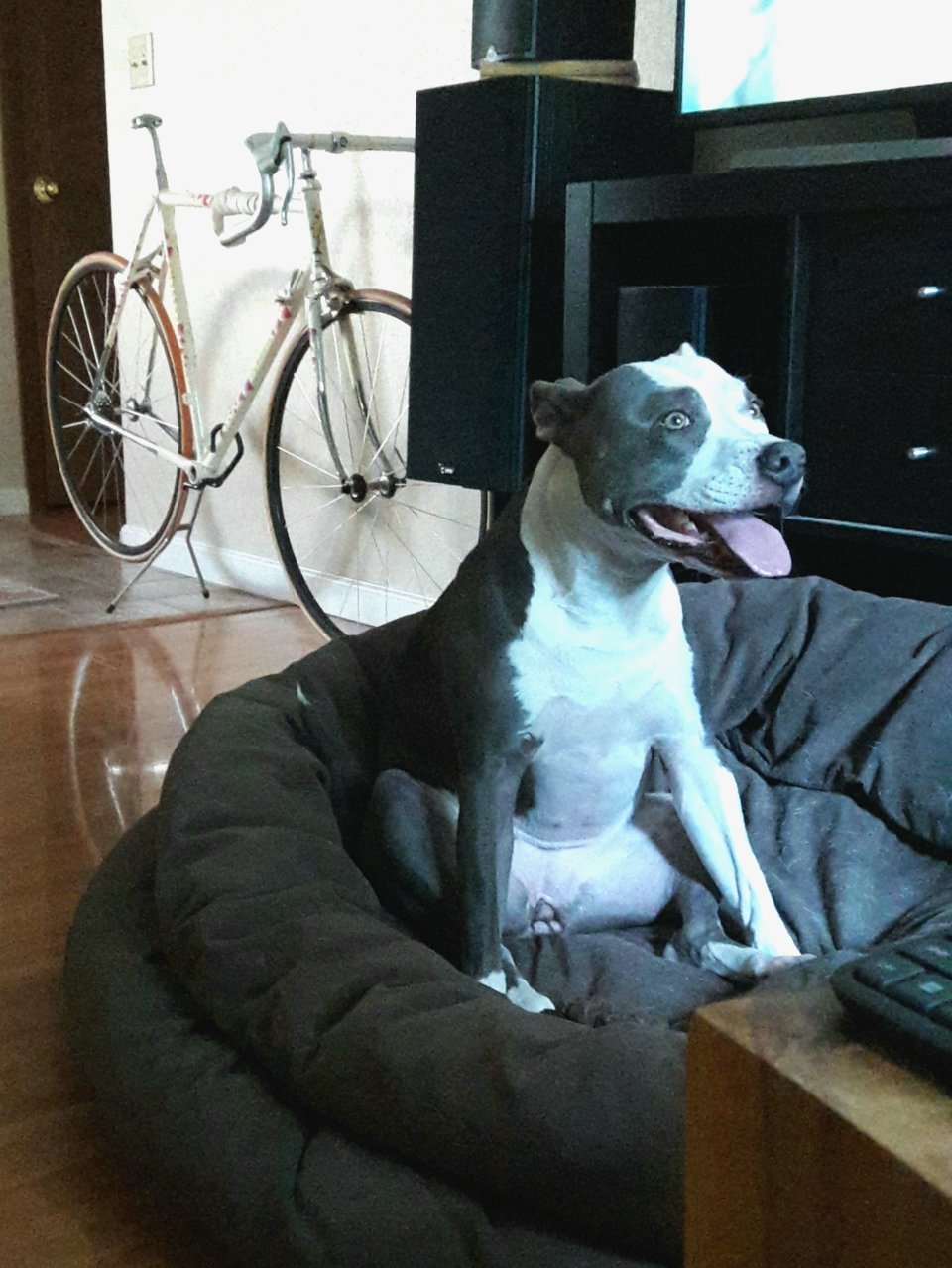 20180903_195306.jpg
