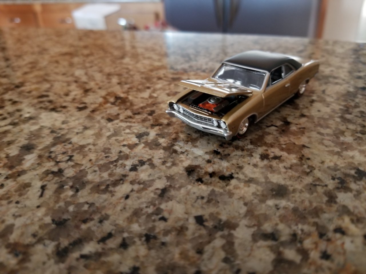 20180904_163345.jpg