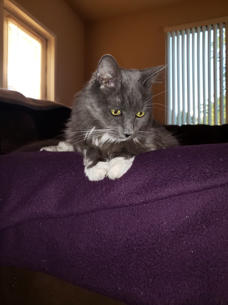 20180904_182054.jpg