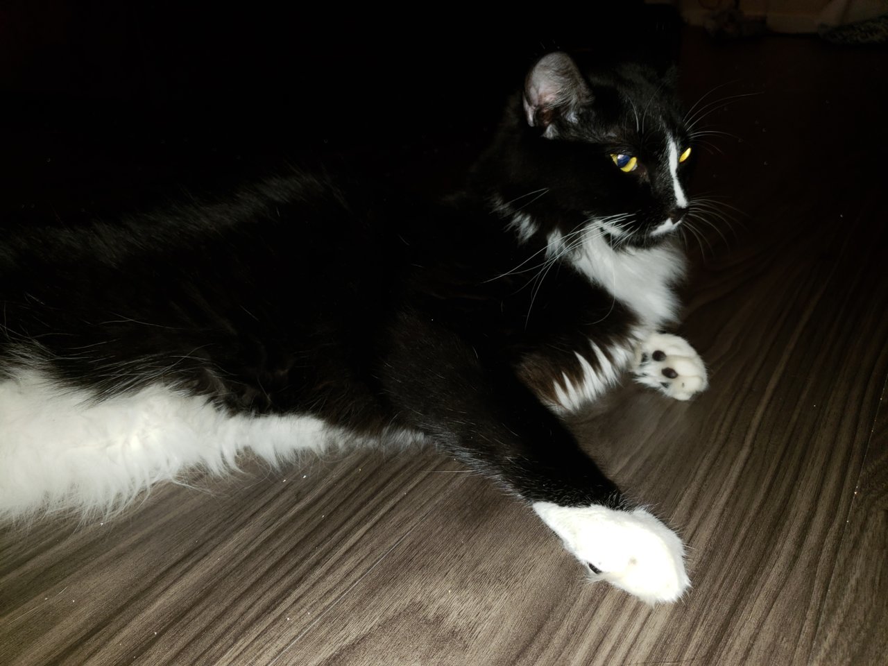 20180904_182211.jpg