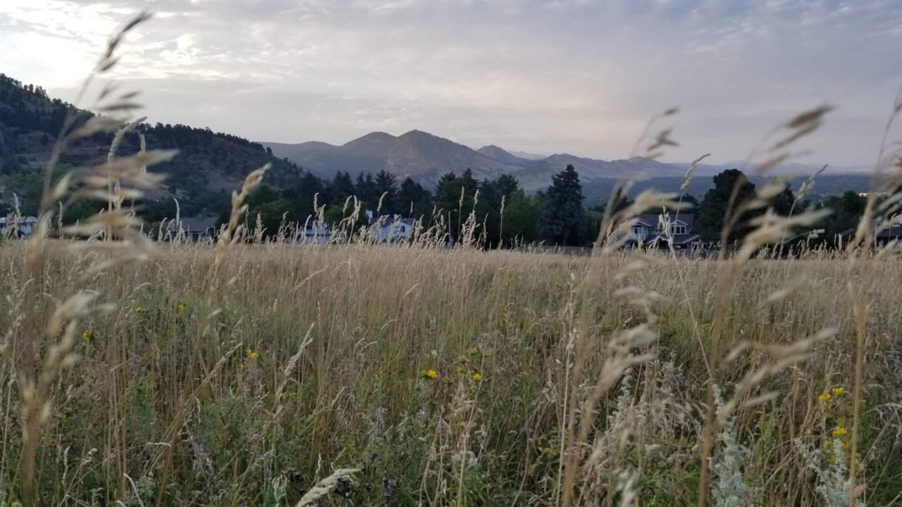 20180904_184819.jpg
