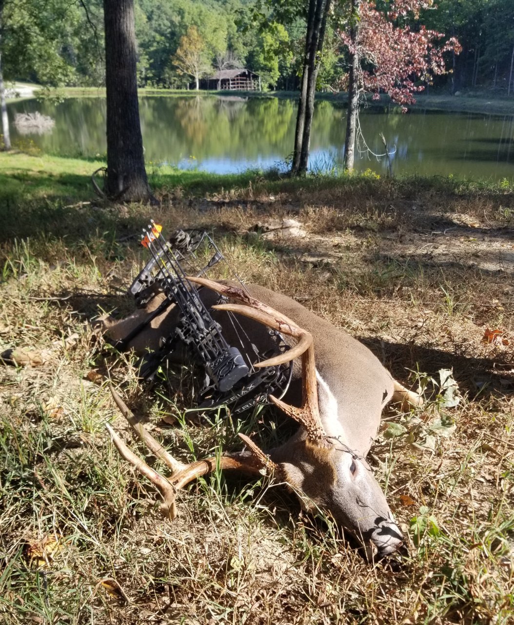 20180905_101032.jpg