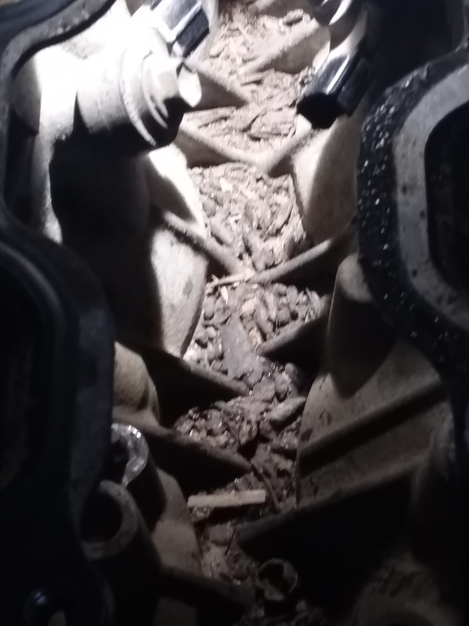 20180906_185138.jpg