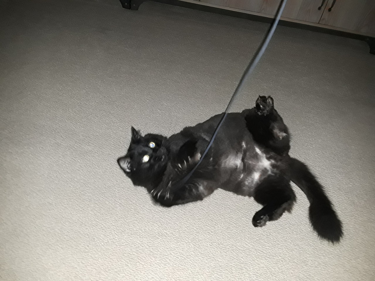 20180906_194429.jpg