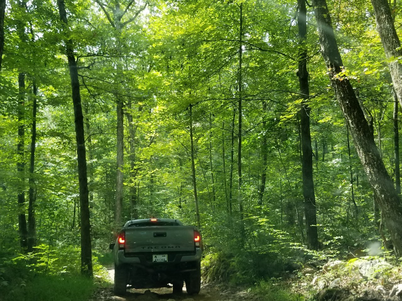 20180907_121848.jpg