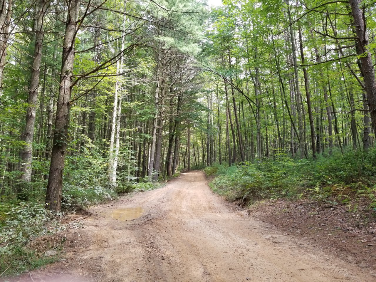 20180907_125049.jpg