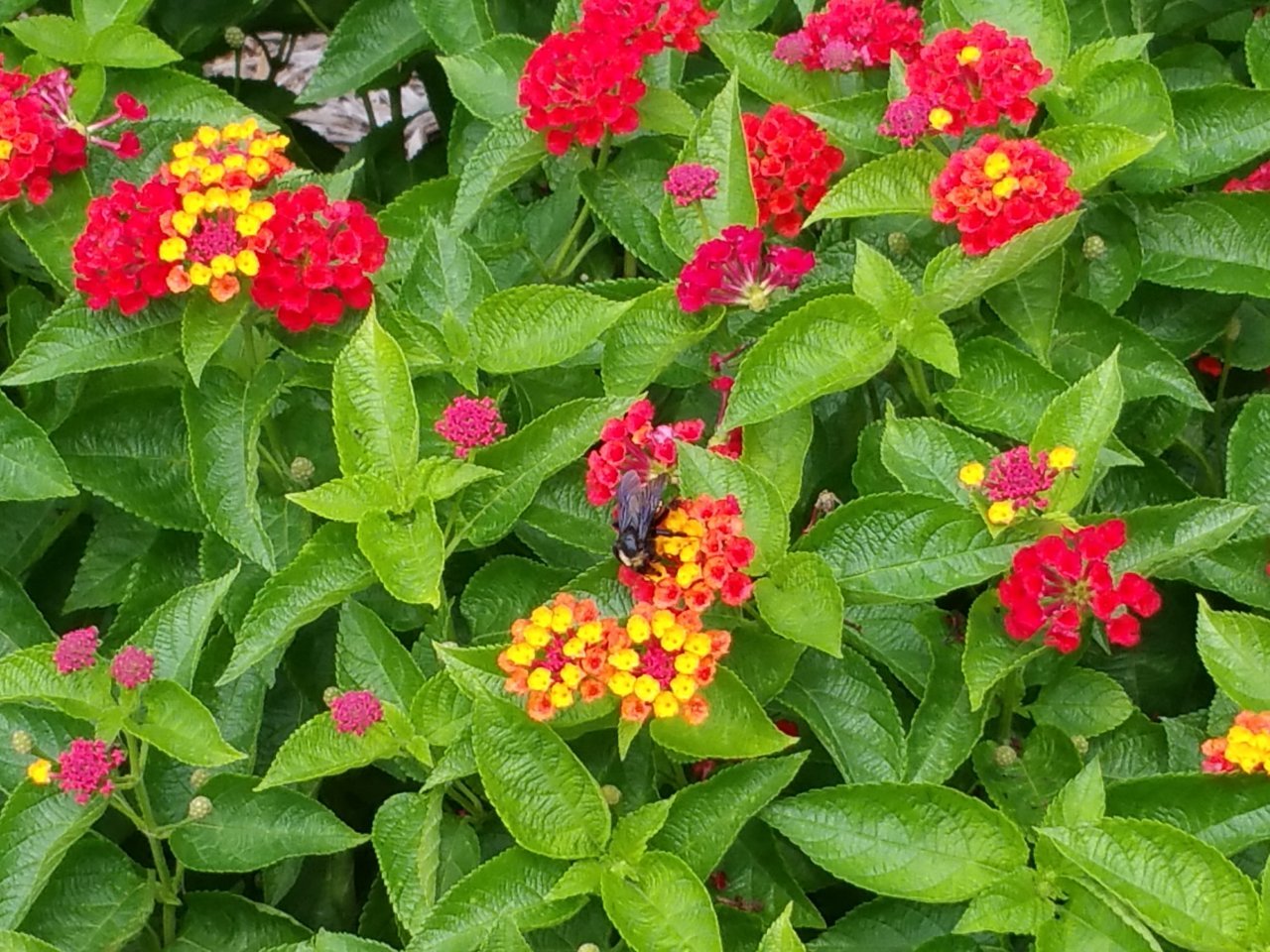 20180907_125720.jpg