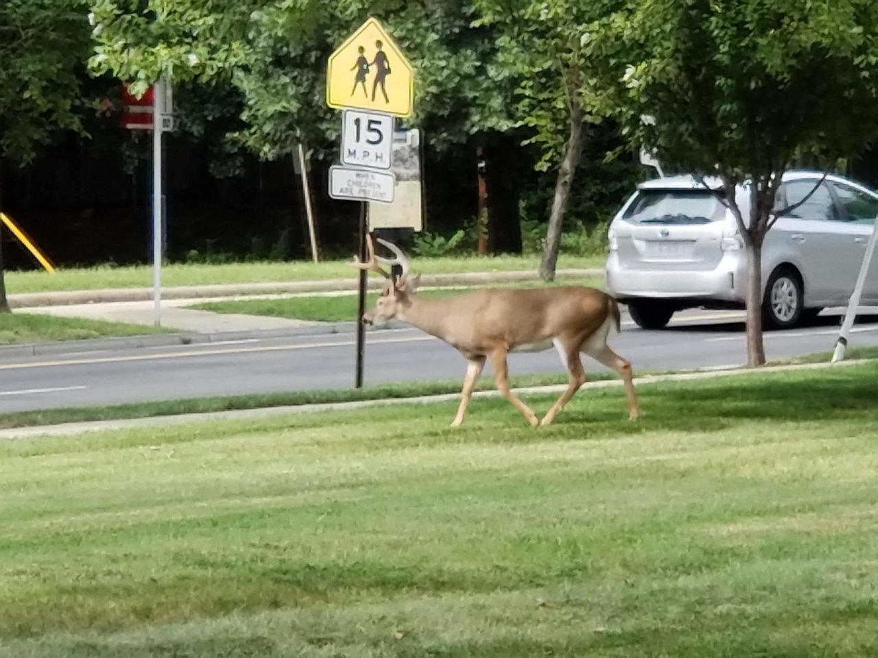 20180907_151815.jpg