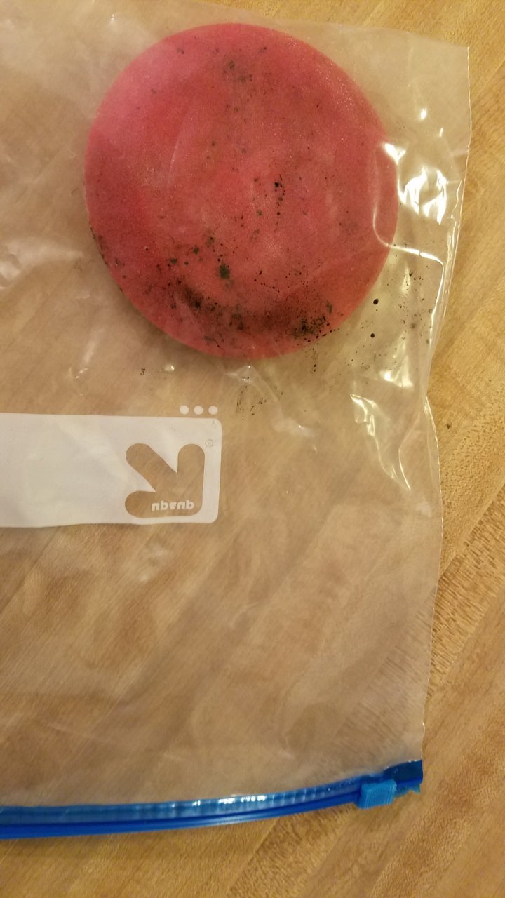 20180907_192629.jpg