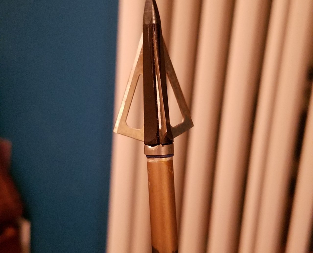20180907_215956.jpg