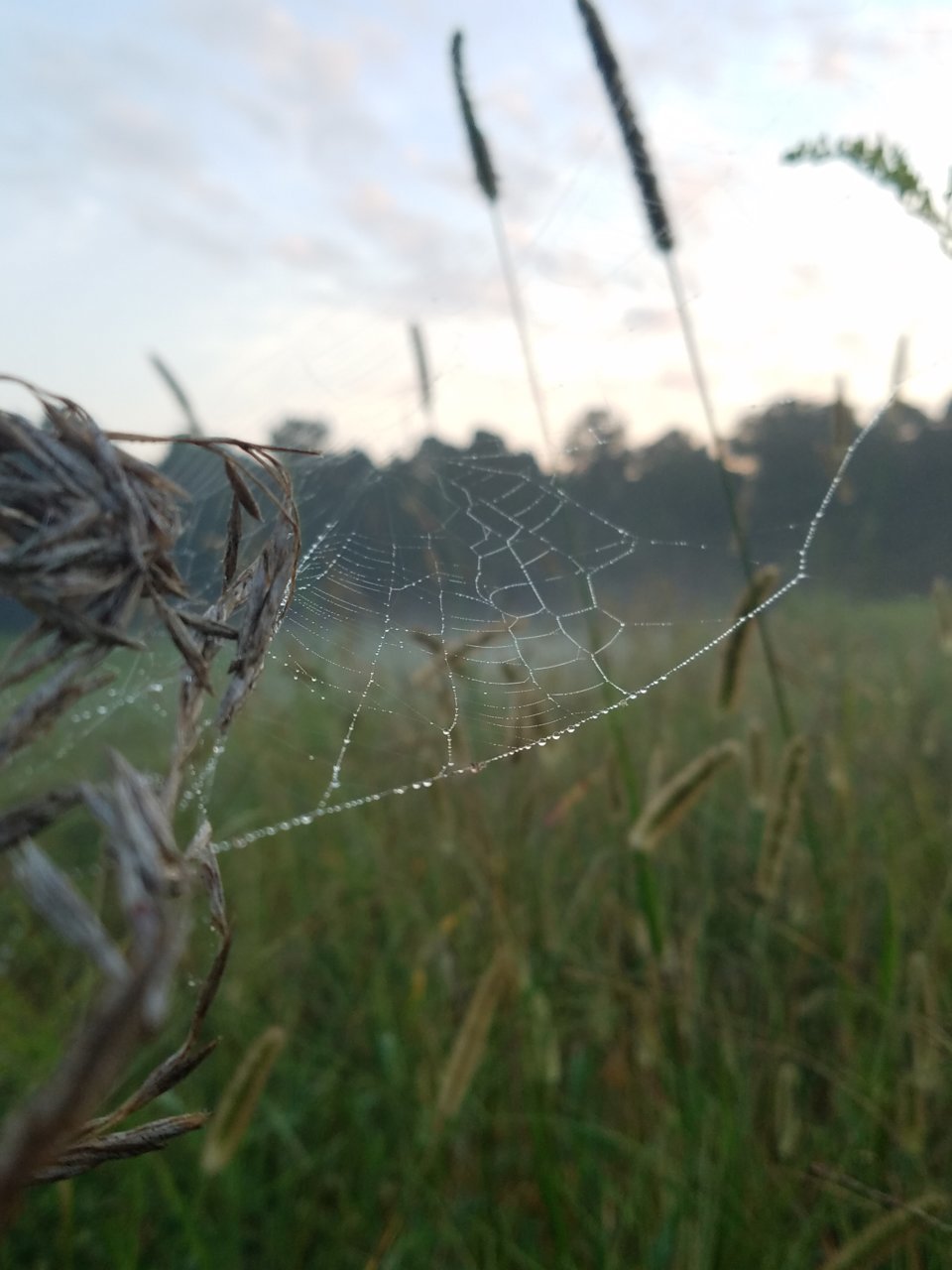 20180908_070226.jpg
