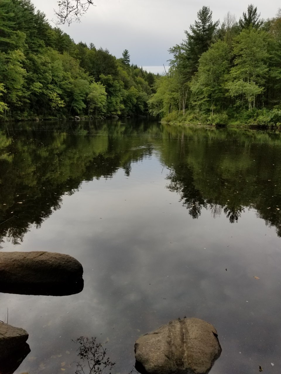 20180908_104254.jpg