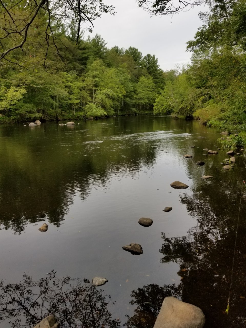 20180908_104316.jpg