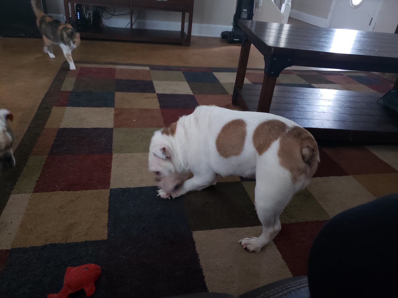 20180908_123158.jpg