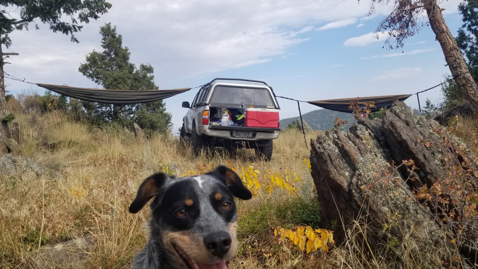 20180908_152426.jpg