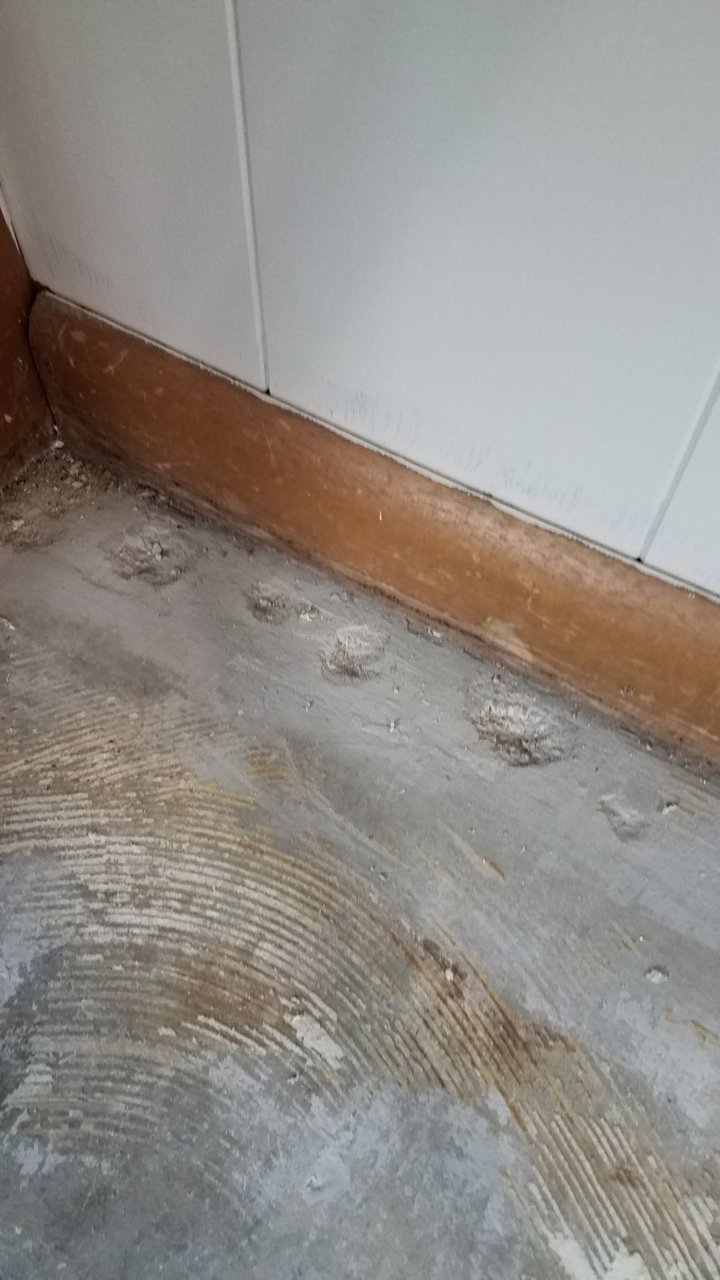 20180908_154632.jpg