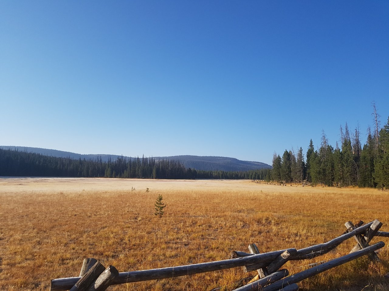 20180909_081914_1.jpg