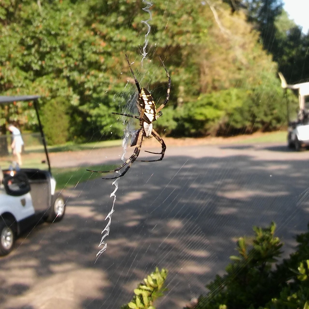 20180909_092219 (2).jpg