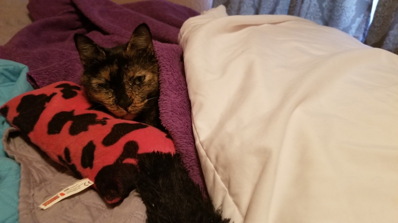20180909_124108.jpg