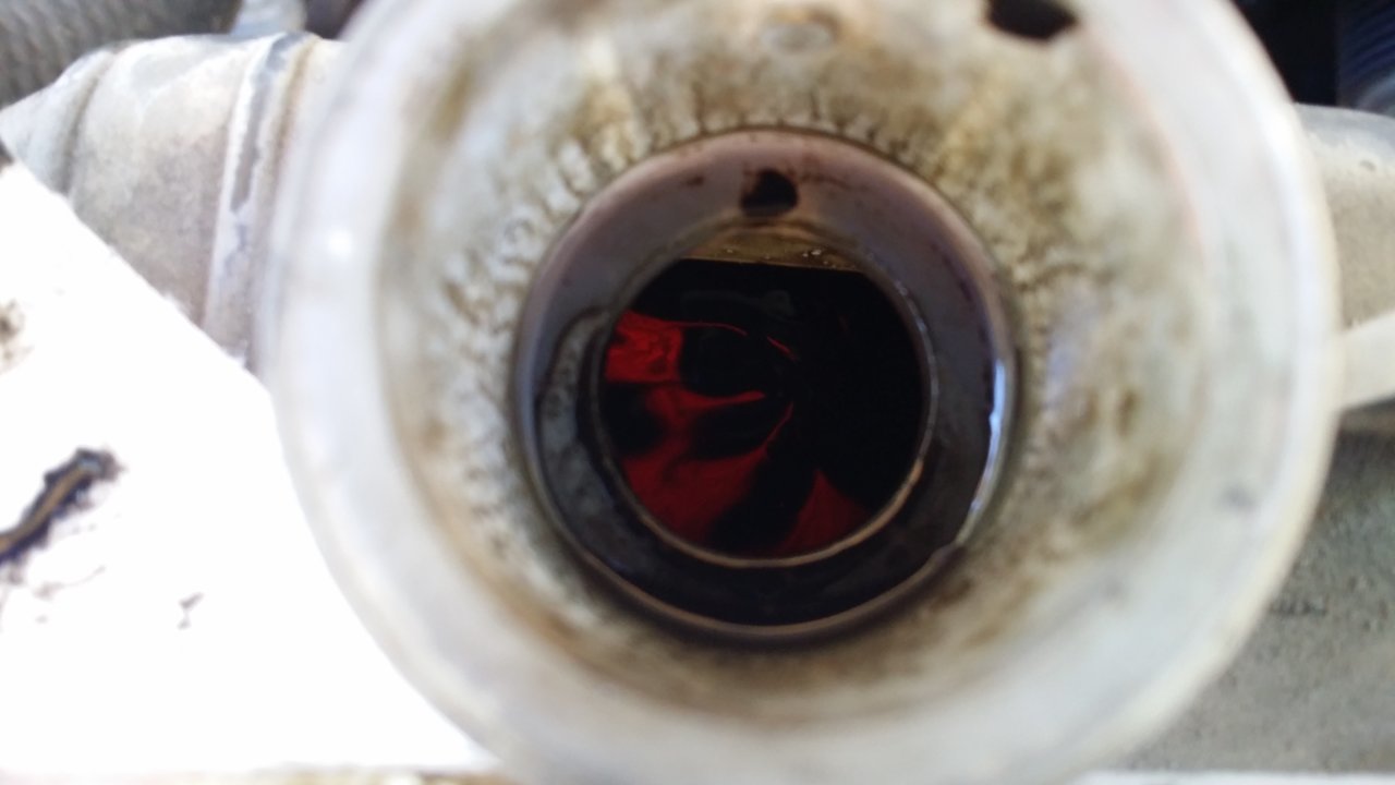 20180910_173950.jpg