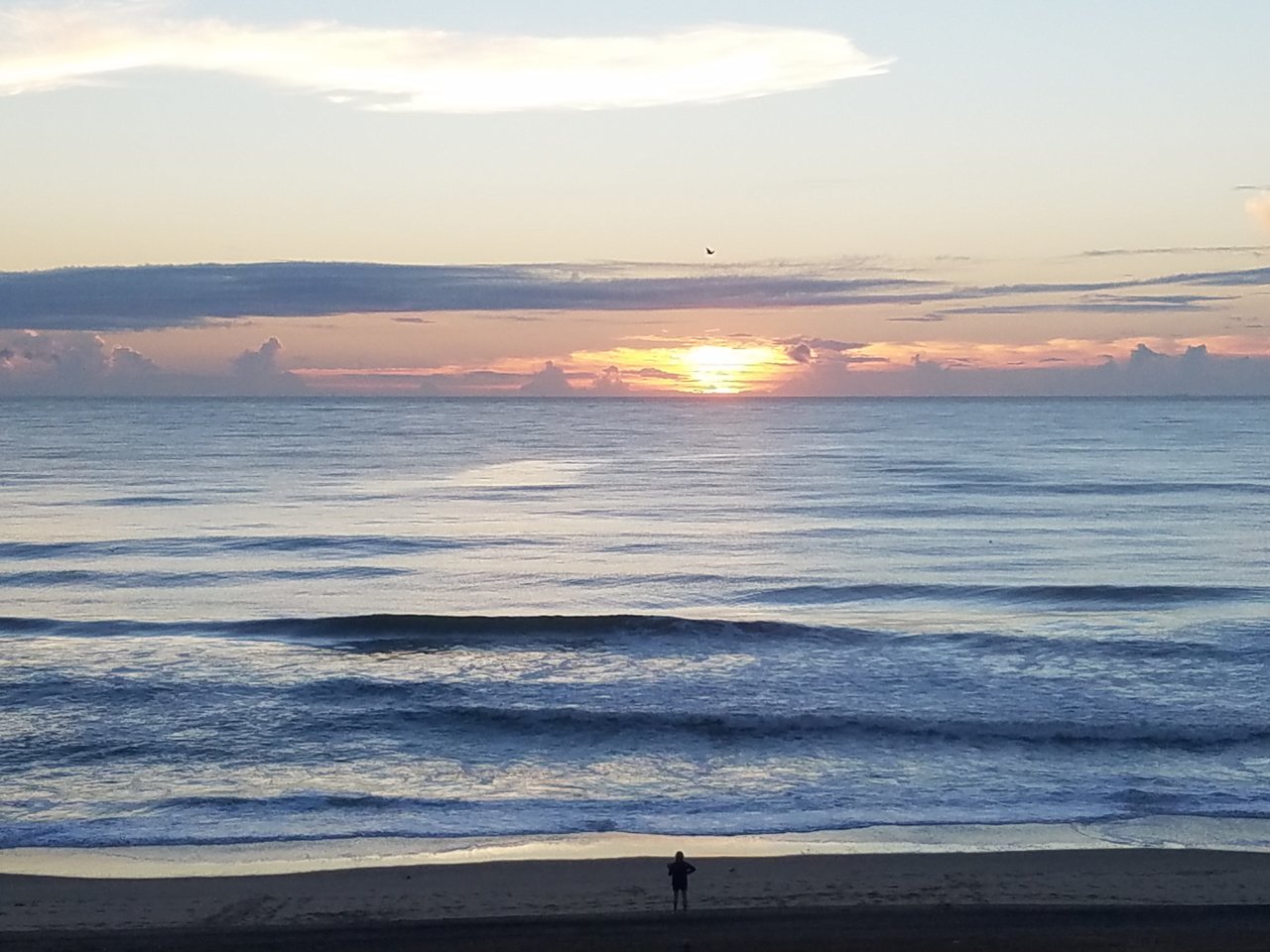 20180911_064252.jpg