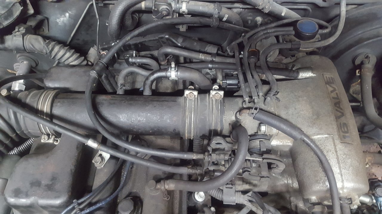 20180911_080138.jpg