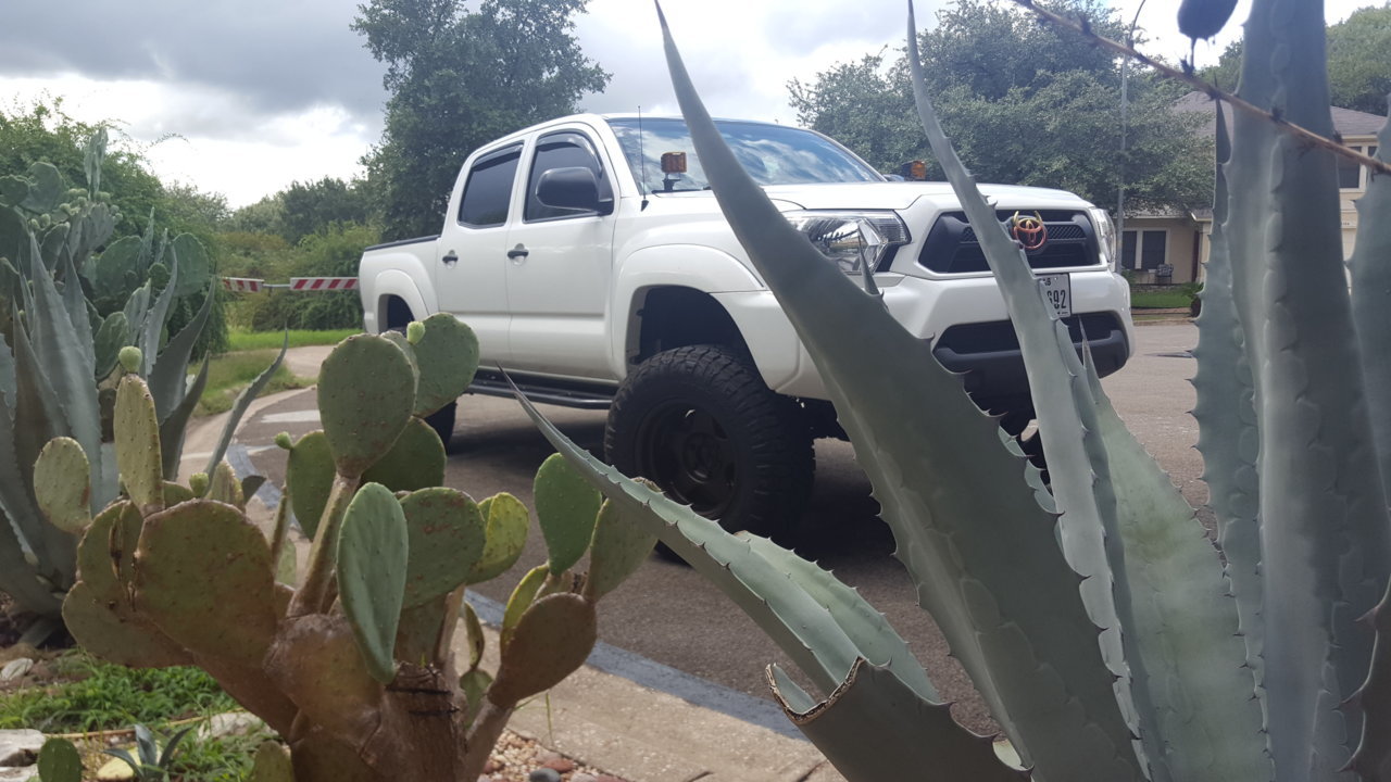 20180911_152947.jpg