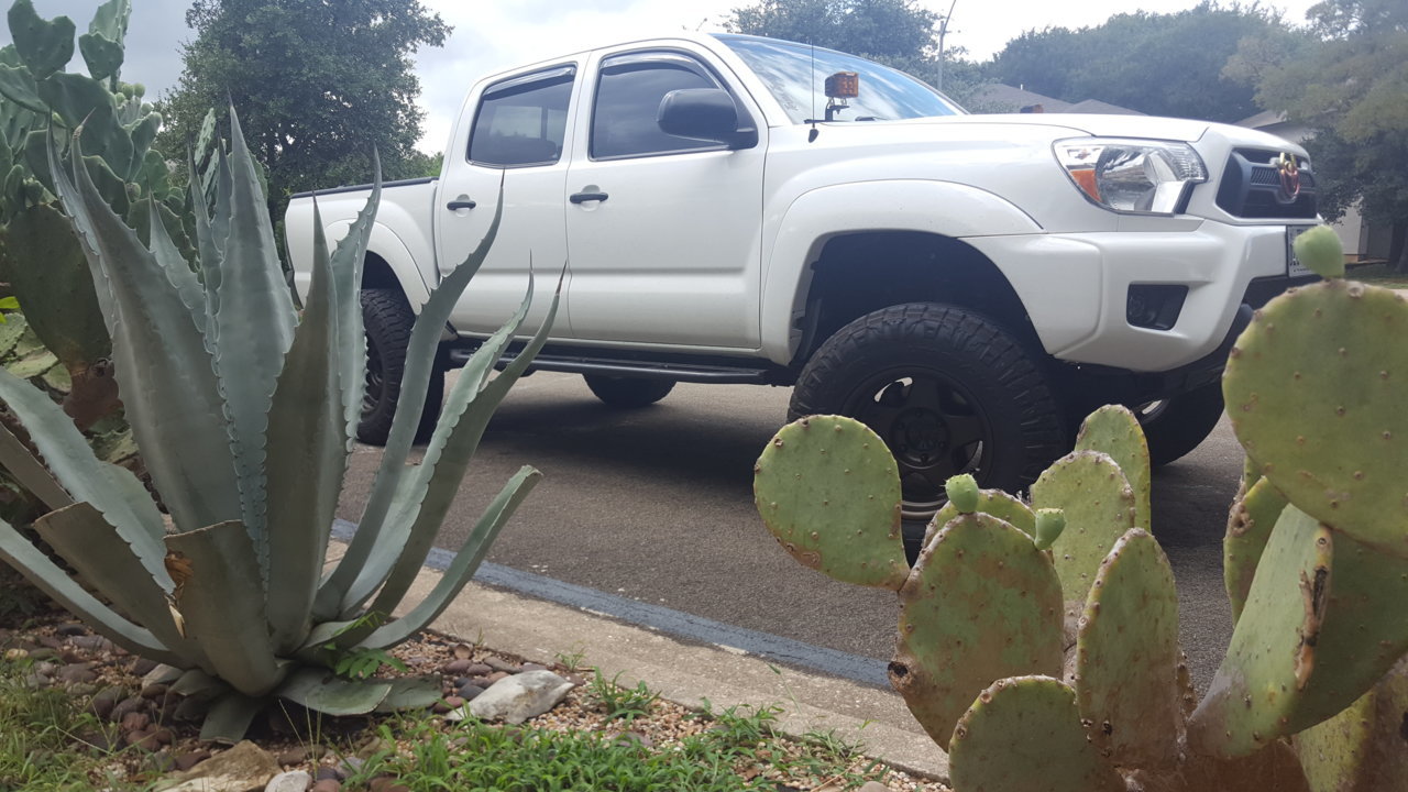 20180911_153007.jpg