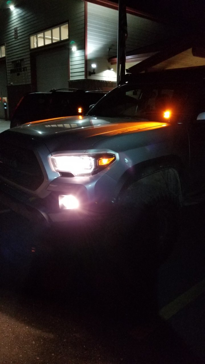 20180911_224952.jpg