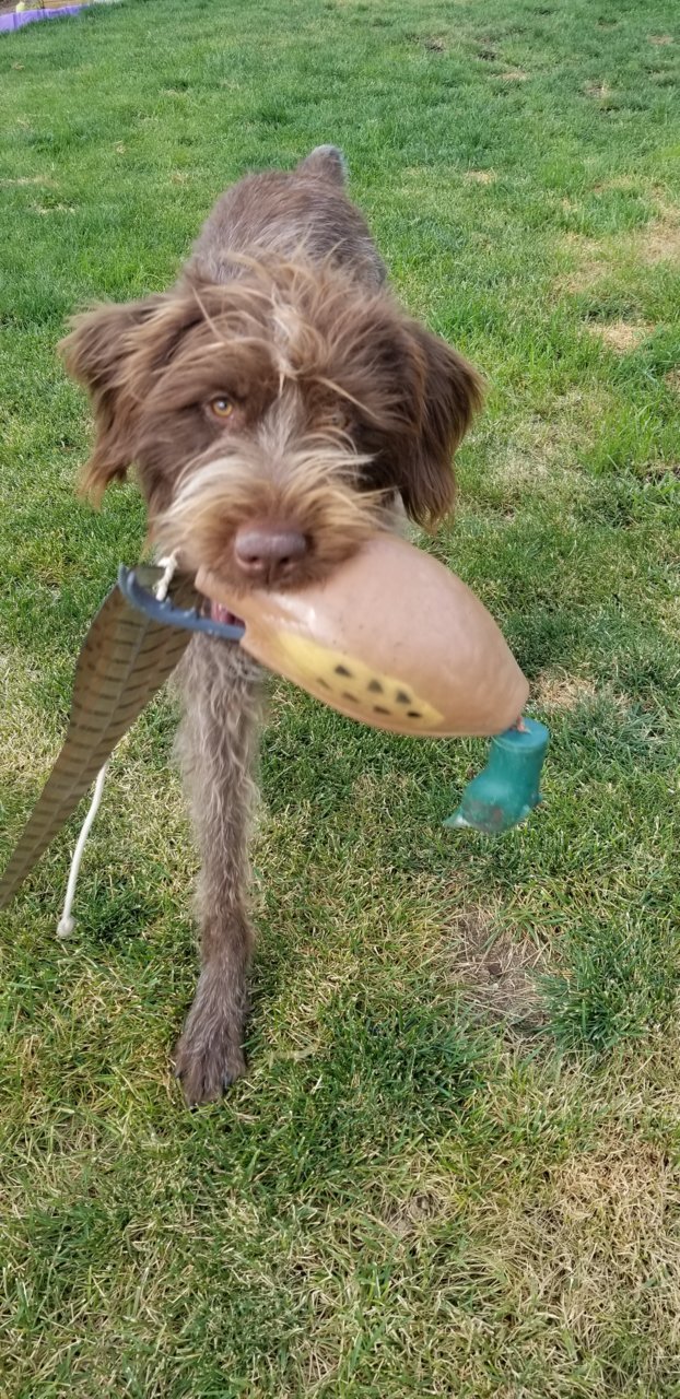20180912_162059.jpg