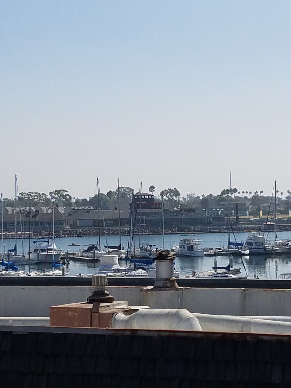 20180913_104638.jpg
