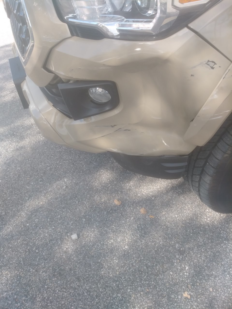 20180913_160626.jpg