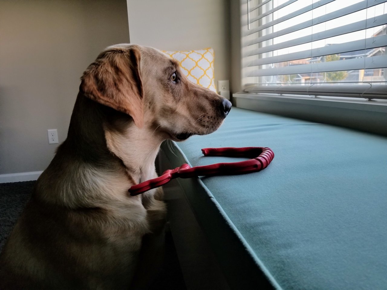 20180913_185515.jpg
