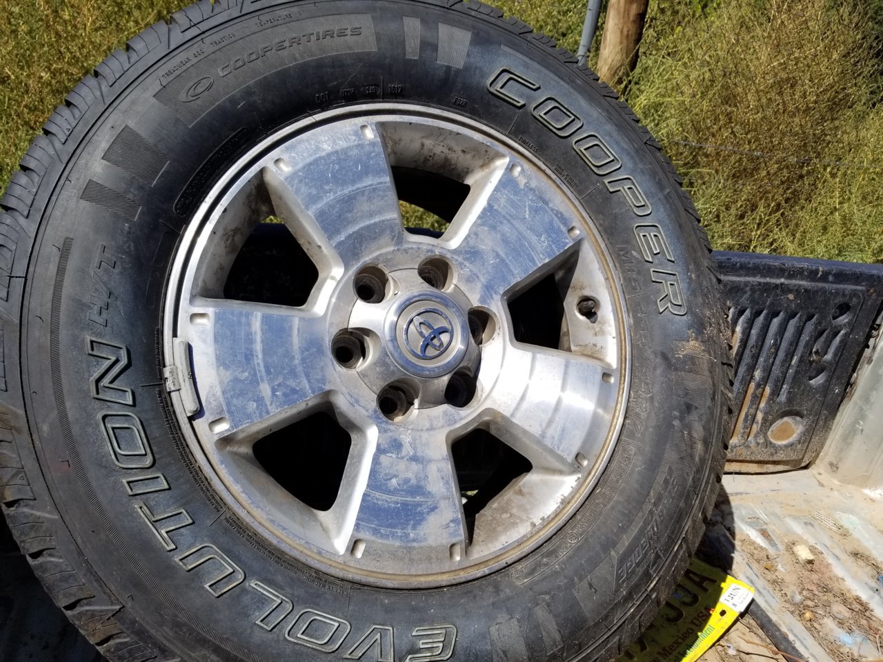20180914_121423.jpg